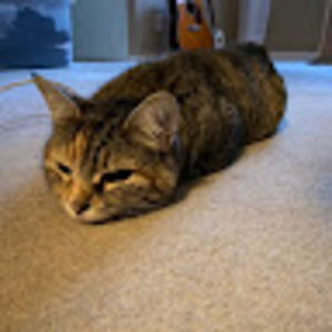 Meet your Posher, Thomas